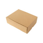 Caja Kraft Microcorrugado- domicilio